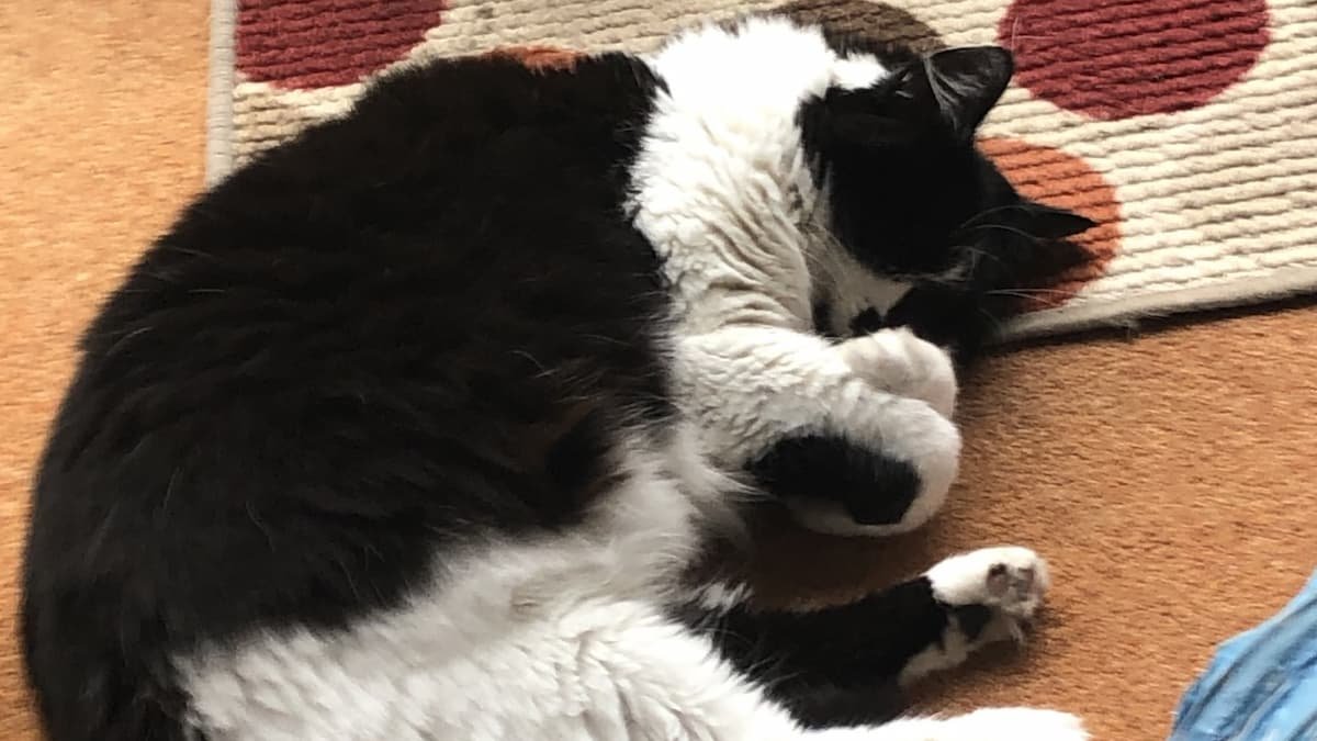 Sleep is important for weight loss.