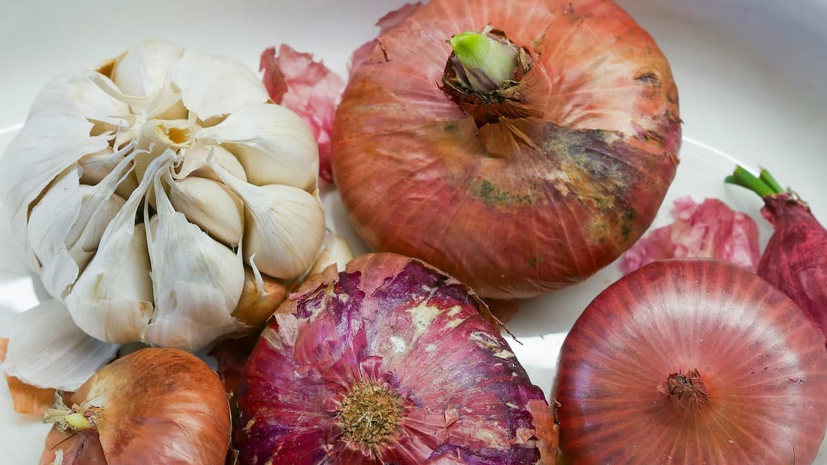 Benefits of prebiotics