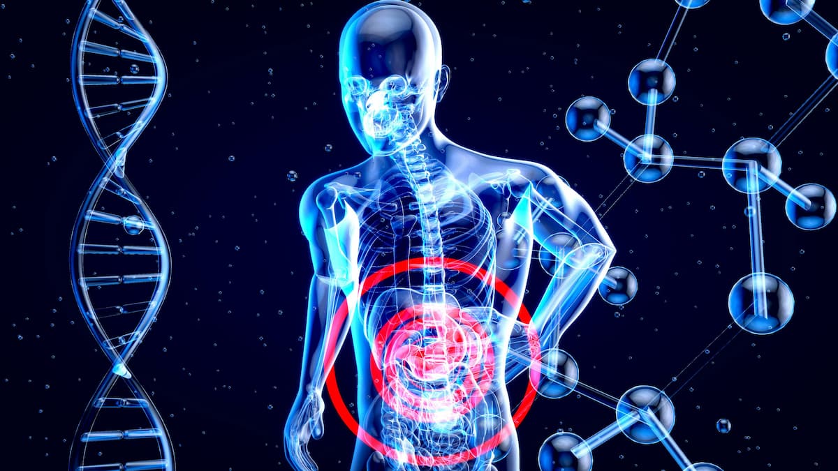 Benefits of prebiotics