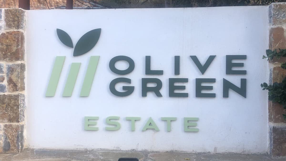 how to get the most benefit from olive oil