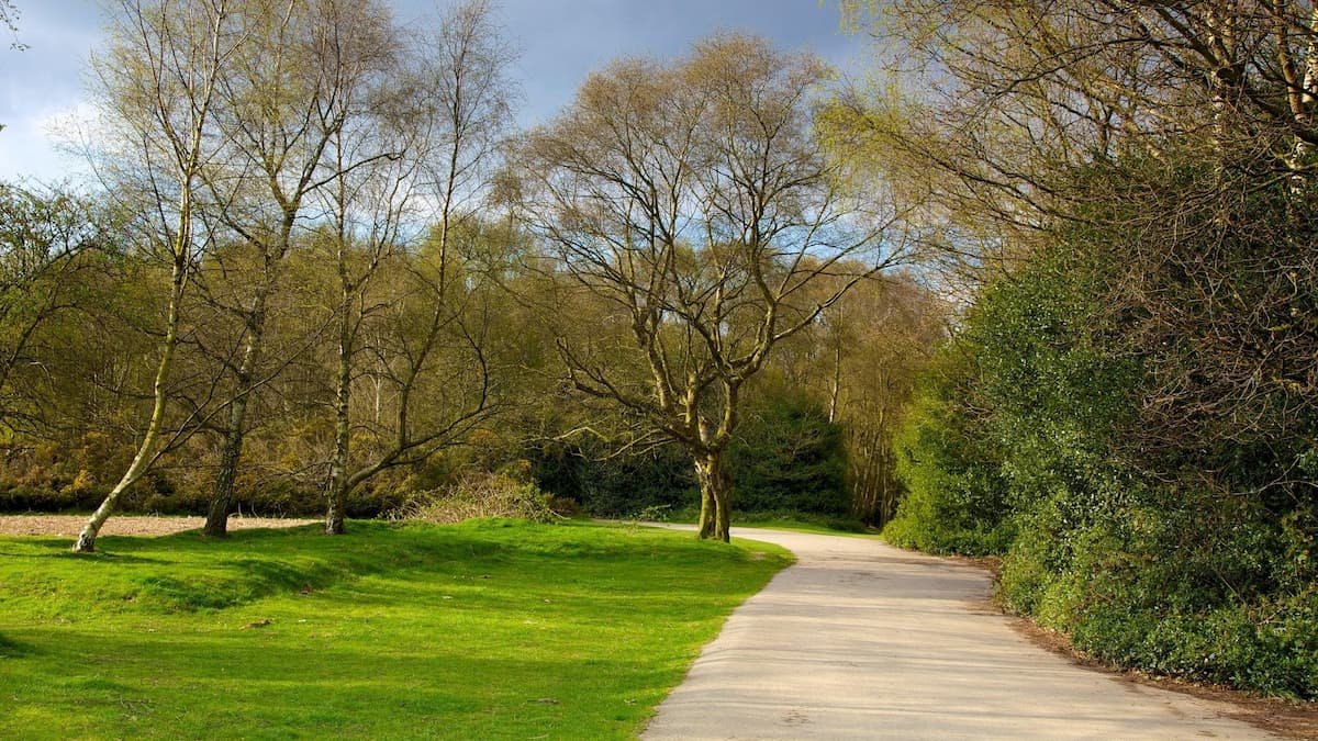 Outdoor personal training in Sutton Park Sutton Coldfield