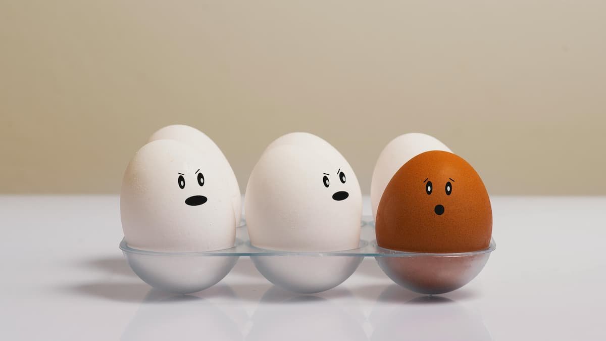 Nutrition Myths busted