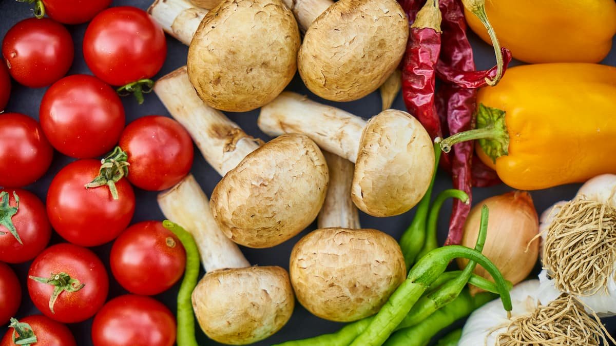 Nutritionist in Sutton Coldfield