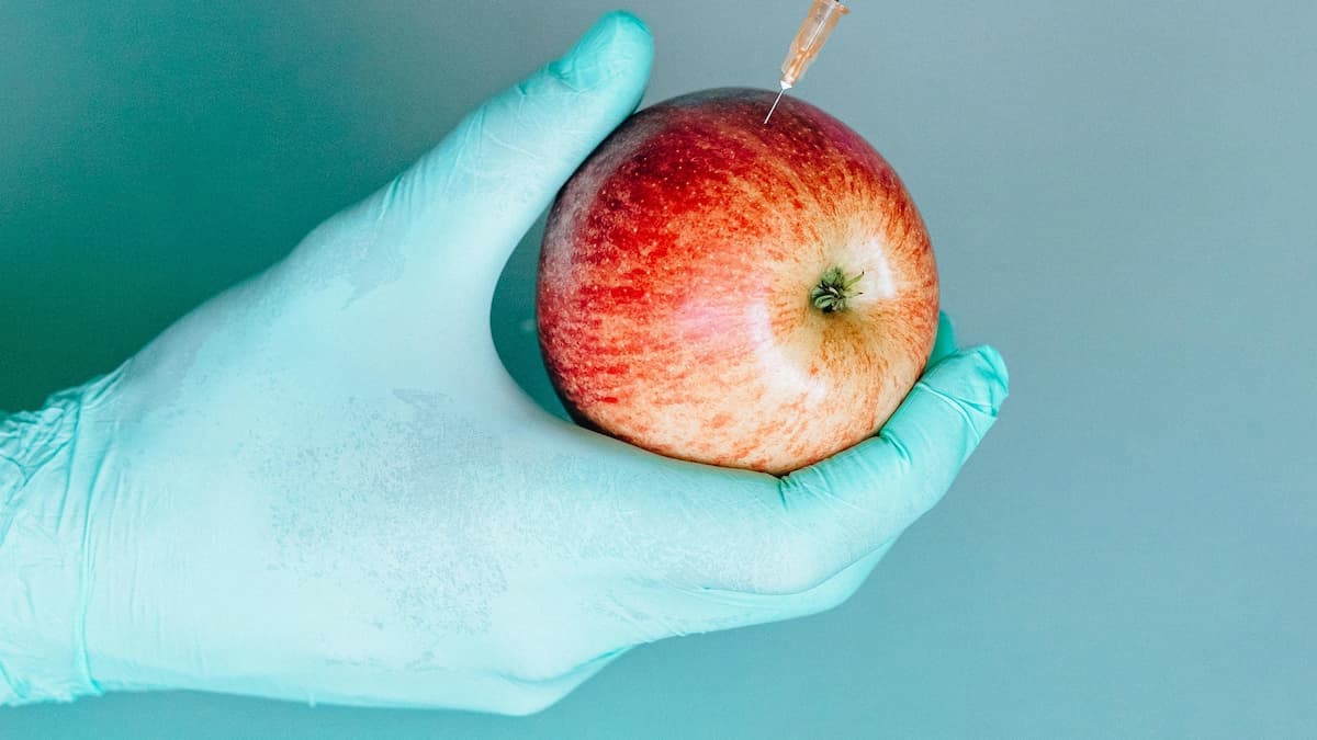 The Benefits of Apples